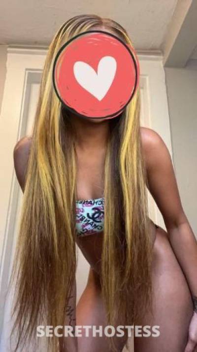 28Yrs Old Escort Tampa FL Image - 0