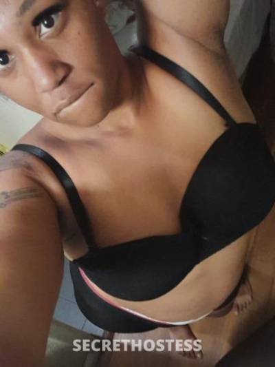 29Yrs Old Escort Tampa FL Image - 2