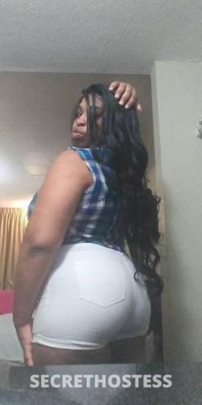 29Yrs Old Escort Tampa FL Image - 2