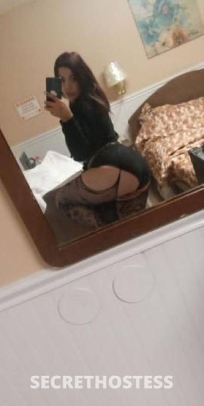 Bella 26Yrs Old Escort Fort Lauderdale FL Image - 2