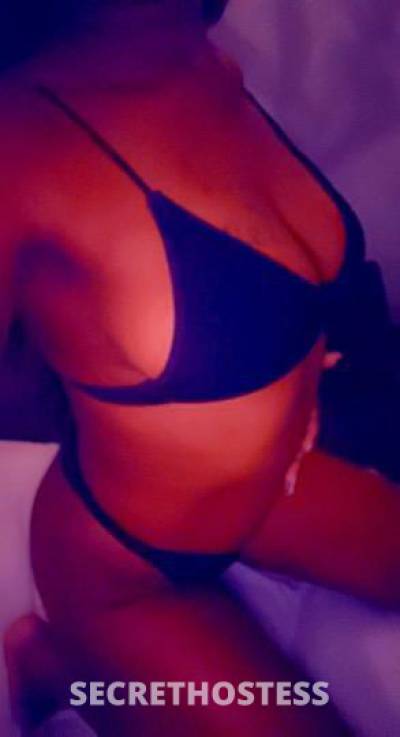 Paris 24Yrs Old Escort Los Angeles CA Image - 2