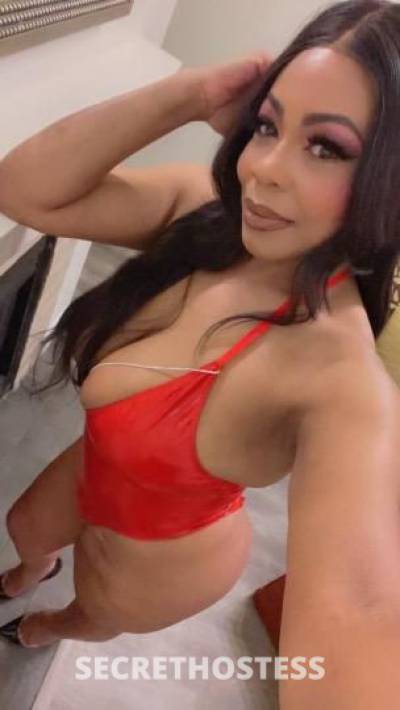 Vanessa 32Yrs Old Escort Jacksonville FL Image - 2