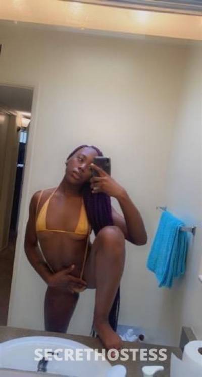 27Yrs Old Escort Clarksville TN Image - 4