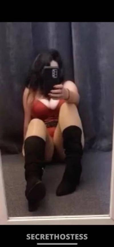 40Yrs Old Escort Size 16 Wollongong Image - 0