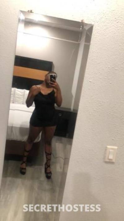 25Yrs Old Escort Houston TX Image - 2