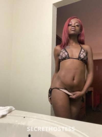 26Yrs Old Escort Houston TX Image - 1