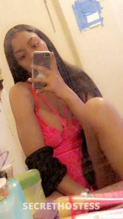 24Yrs Old Escort Corpus Christi TX Image - 1