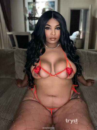 20 Year Old Dominican Escort San Francisco CA Brunette - Image 8