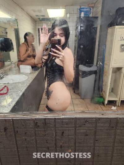 24Yrs Old Escort Houston TX Image - 3