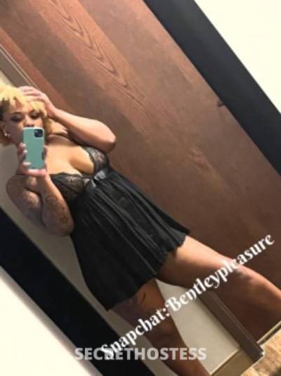 28Yrs Old Escort 170CM Tall San Antonio TX Image - 1