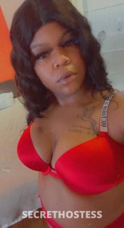 HoneyBunn🍯🍭 23Yrs Old Escort Seattle WA Image - 1