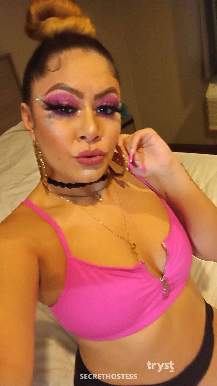 Kylie 20Yrs Old Escort Size 8 163CM Tall Yuba City CA Image - 2