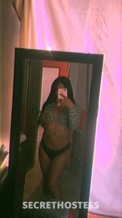 Jimena 20Yrs Old Escort McAllen TX Image - 3