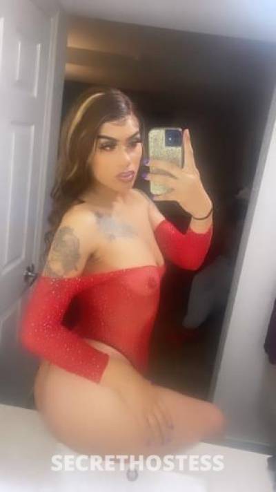 Sapphire 22Yrs Old Escort Denver CO Image - 1