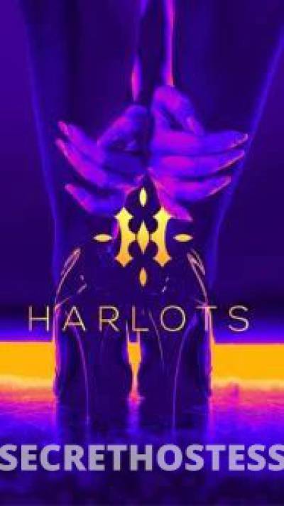 18 year old Australian Escort in Mackay Harlots Mackay FNQ Finest Babes