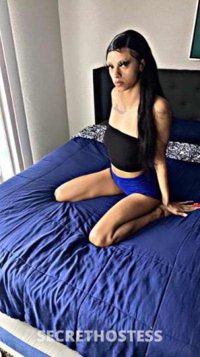 21Yrs Old Escort 165CM Tall Houston TX Image - 2