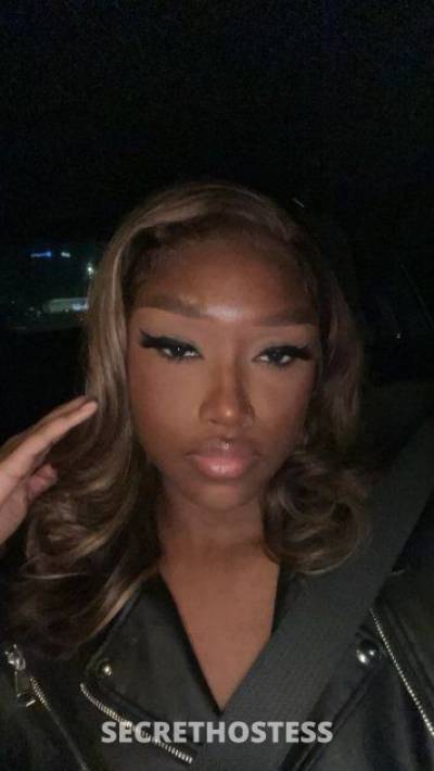 23 year old Escort in St. Louis MO Thick Curvy Jamaican
