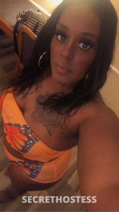 26Yrs Old Escort Dallas TX Image - 1