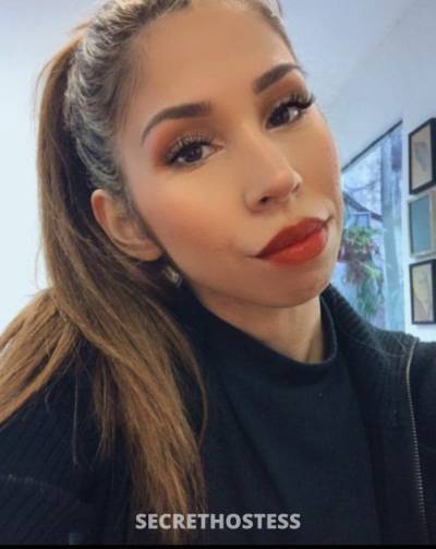 26 year old Escort in St. Louis MO New girl in town