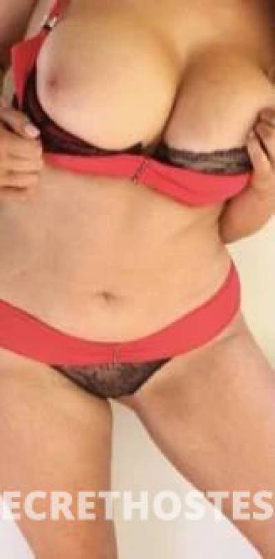 Aussie Upmarket Raunchy Fox fr.April10 in Bendigo