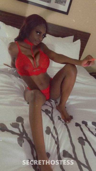 Starr 21Yrs Old Escort 162CM Tall Minneapolis / St. Paul MN Image - 2