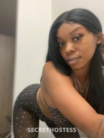 Latina 26Yrs Old Escort San Luis Obispo CA Image - 1