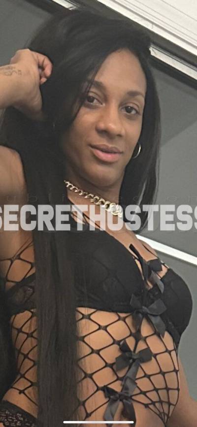 Latina 31Yrs Old Escort Tampa & Orlando FL Image - 7