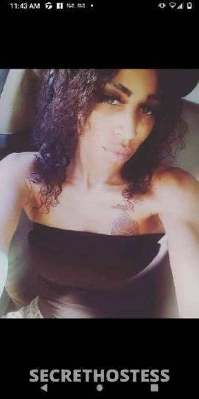 32Yrs Old Escort San Francisco CA Image - 3