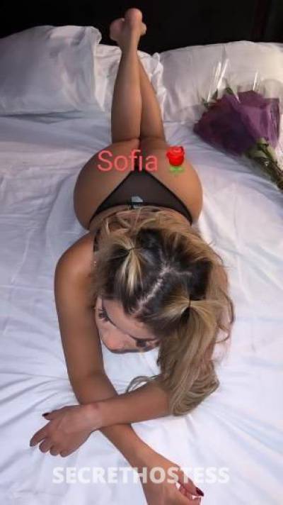 24Yrs Old Escort Orlando FL Image - 2