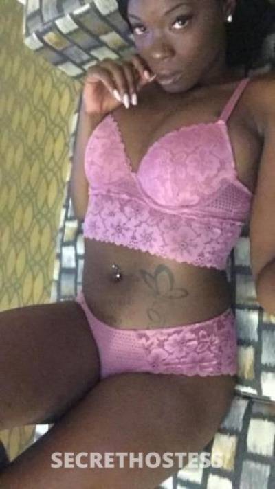 26Yrs Old Escort Corpus Christi TX Image - 2