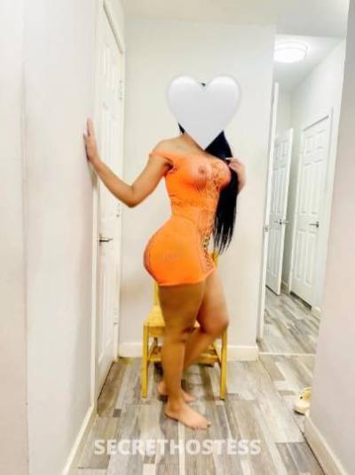 28Yrs Old Escort Bronx NY Image - 1