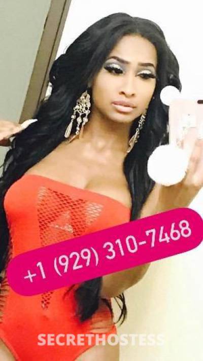 Tiffany 25Yrs Old Escort Central Jersey NJ Image - 2