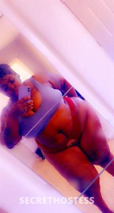 27Yrs Old Escort Miami FL Image - 1