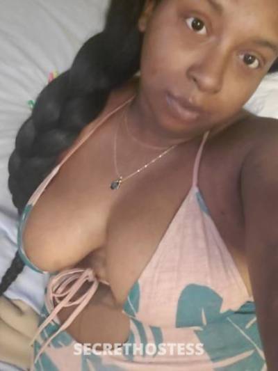 27Yrs Old Escort Miami FL Image - 1