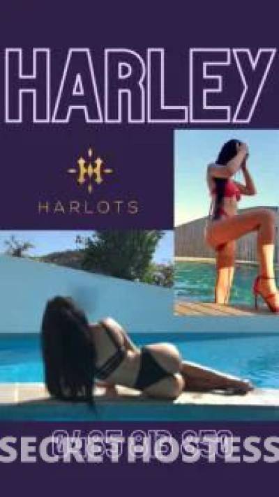 27 year old Escort in Mackay Harley winters brings you wednesday pleasure