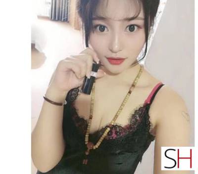 25 Year Old Chinese Escort Dublin - Image 1