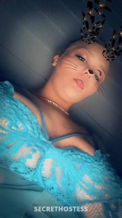 23Yrs Old Escort Maitland Image - 7