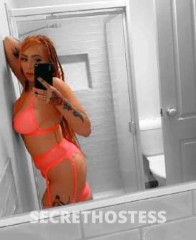 Bellatrix 26Yrs Old Escort Ballarat Image - 2