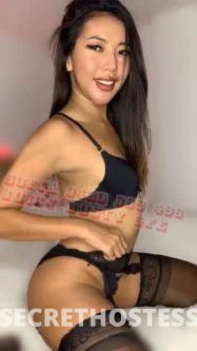 Sofia 25Yrs Old Escort Geelong Image - 3