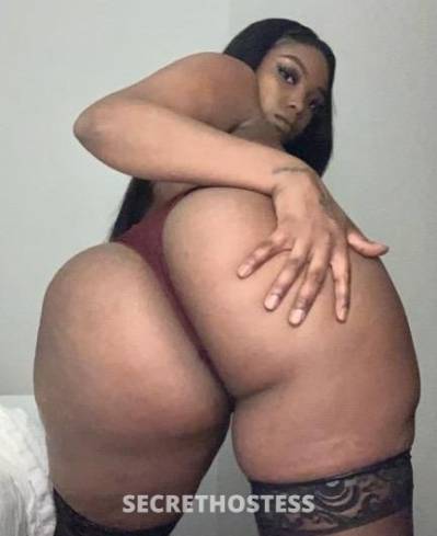 27Yrs Old Escort Orlando FL Image - 1