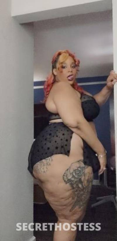 36Yrs Old Escort Hattiesburg MS Image - 3