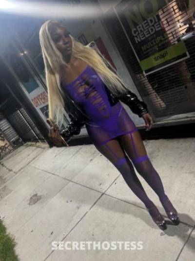 Starr 21Yrs Old Escort St. Louis MO Image - 2
