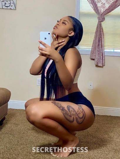 27Yrs Old Escort Fort Lauderdale FL Image - 1
