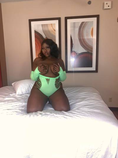 20Yrs Old Escort 169CM Tall Houston TX Image - 0