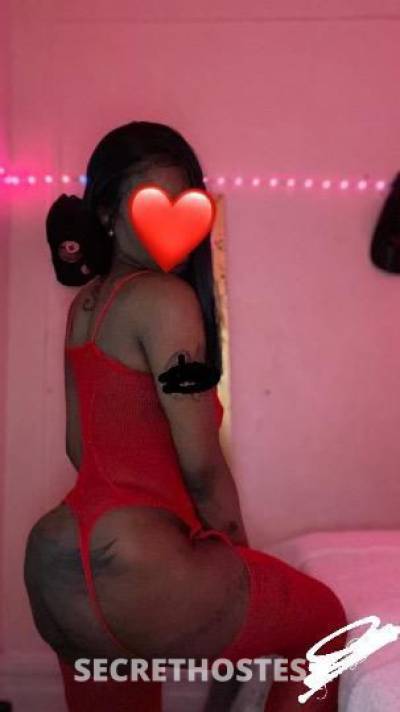 28Yrs Old Escort Bronx NY Image - 1