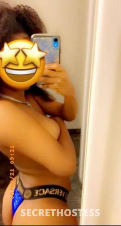 Luxury💎 23Yrs Old Escort Bradenton FL Image - 3