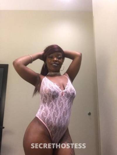29Yrs Old Escort Austin TX Image - 3