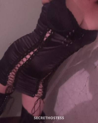 43Yrs Old Escort Perth Image - 10