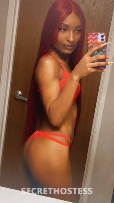 25Yrs Old Escort Virginia Beach VA Image - 0