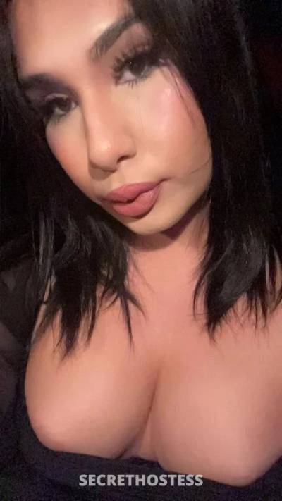 26 year old Brazilian Escort in Harris Park Sydney TS Haifaa Parra